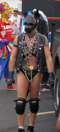 Human puppy at St. Pete Pride Parade