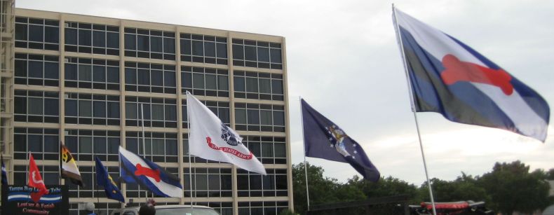 Official Puppy Pride Flags of International Puppy Contest at St. Pete Pride Parade